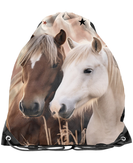 Spordiriiete kott PASO Horses