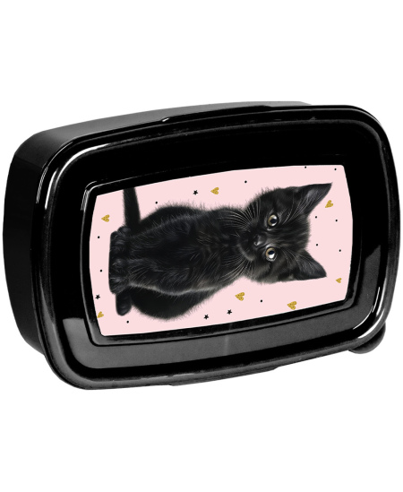 Lõunasöögikarp PASO Black Cat, 750 ml