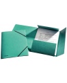 Mapp kummiga ESSELTE, papp, A4, roheline